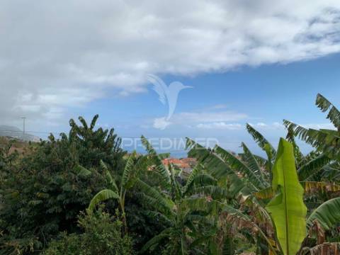 Terreno rústico com capacidade de construção na ponta do sol - ilha da madeira