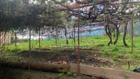 Terreno rústico com capacidade de construção na ponta do sol - ilha da madeira