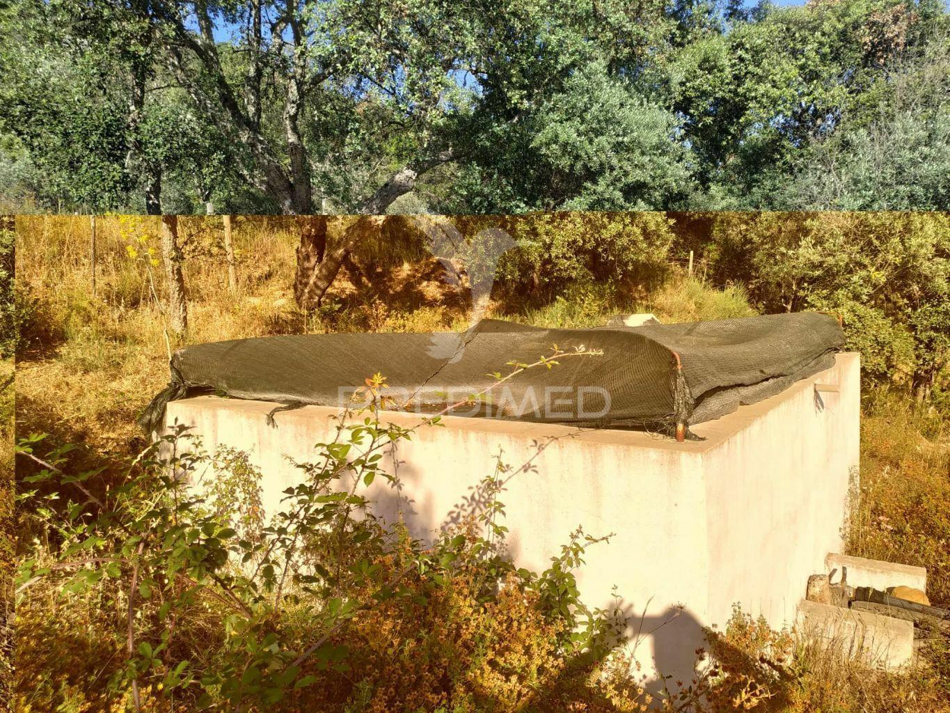 Terreno agrícola em alegrete
