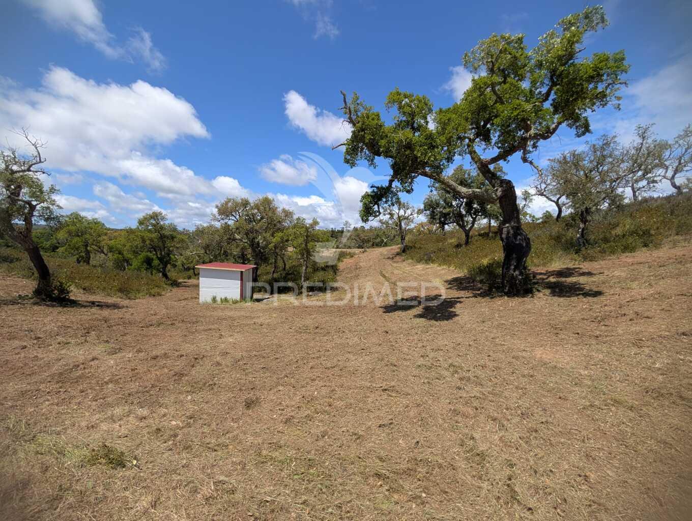 Terreno em santa margarida da serra