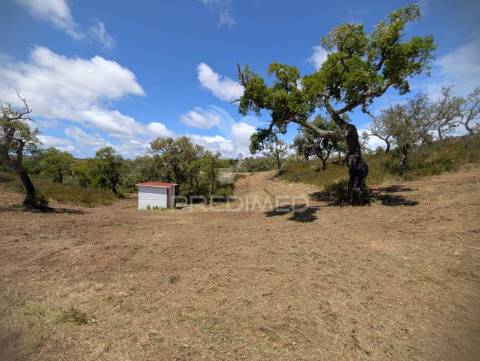 Terreno em santa margarida da serra