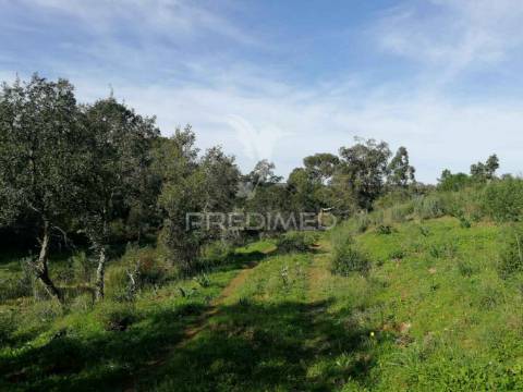 Terreno em santa margarida da serra