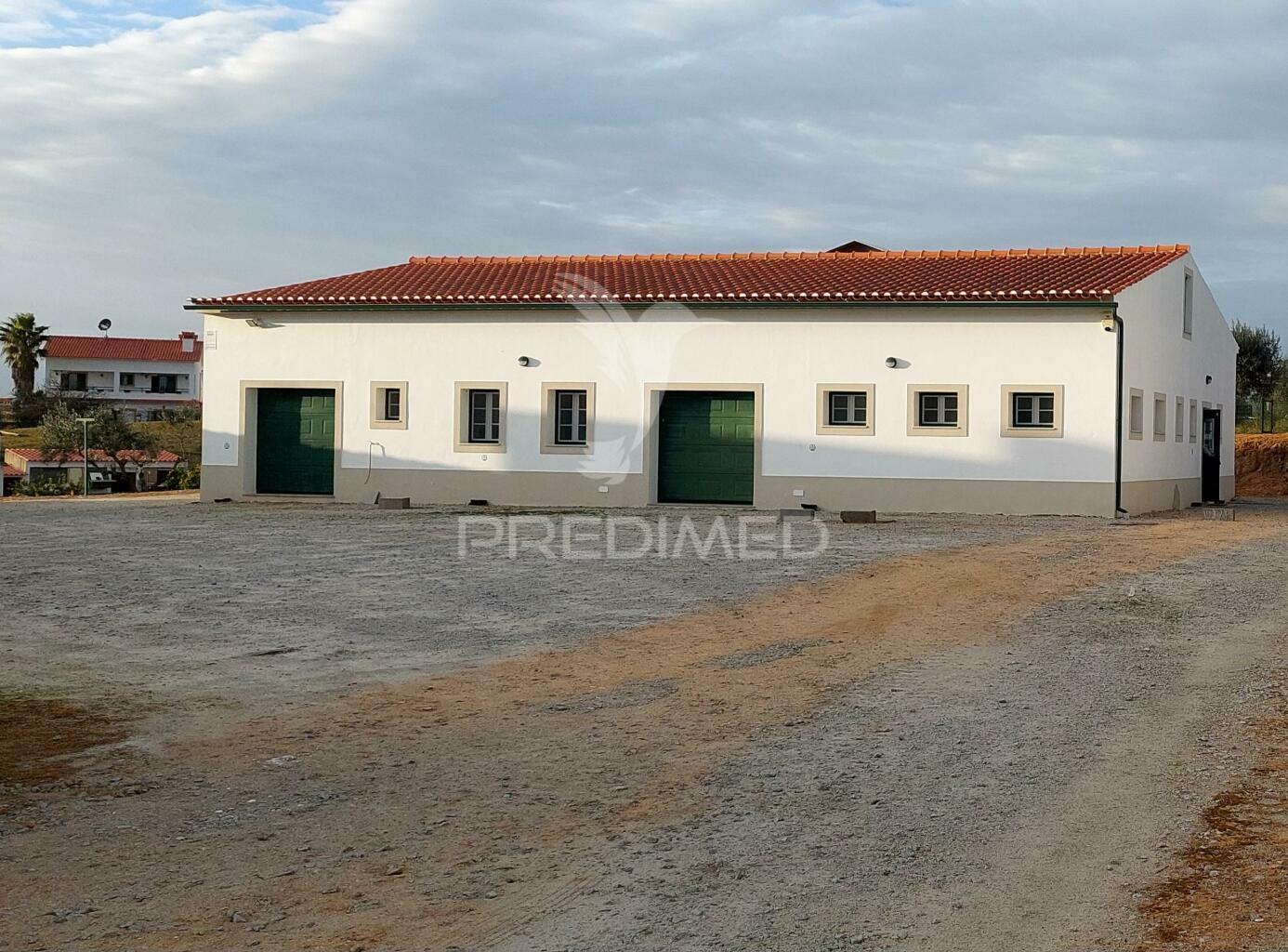 Empresa de batata frita caseira em fortios
