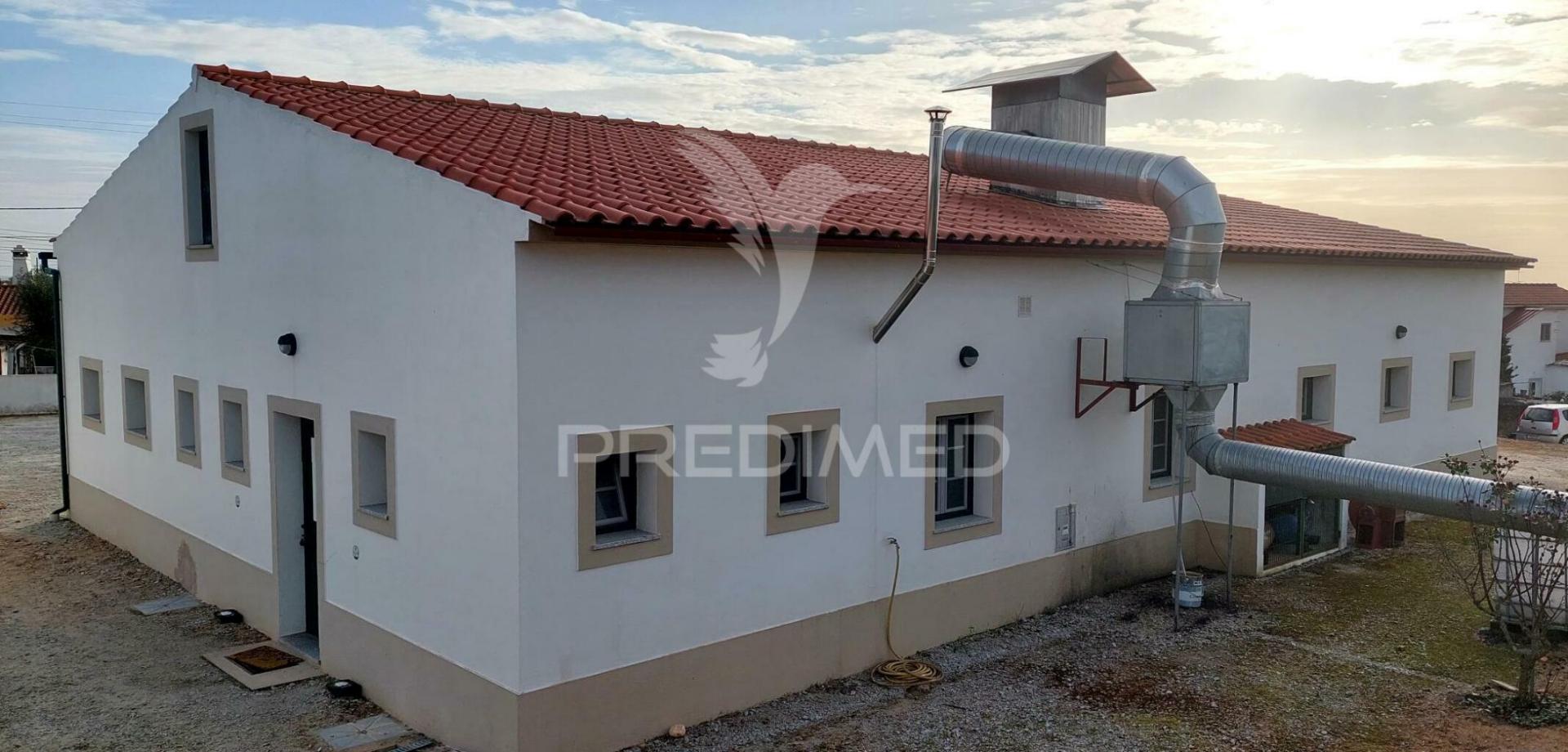Empresa de batata frita caseira em fortios