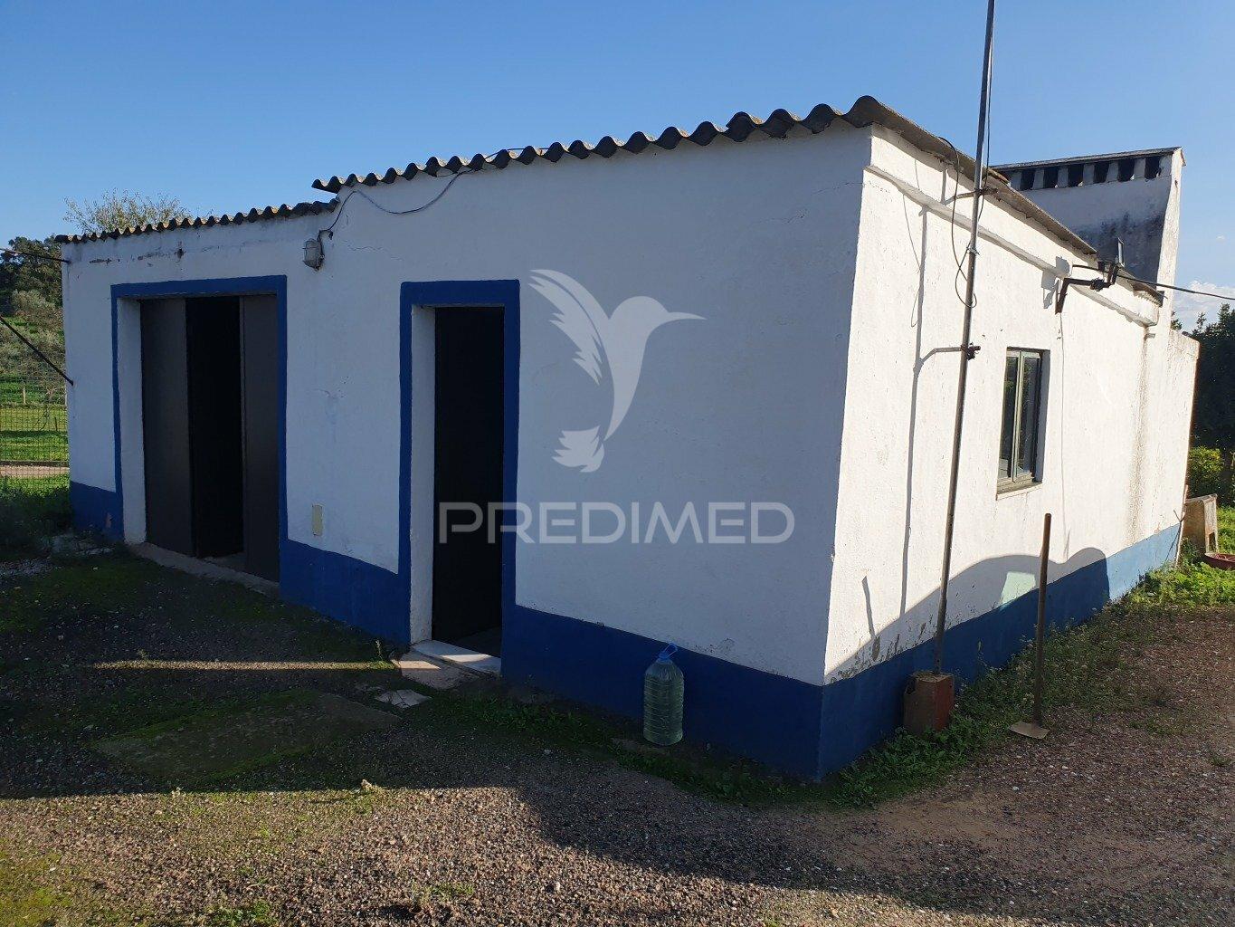 Quinta agrícola