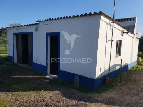 Quinta agrícola