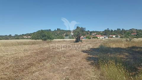 Casas para recuperar em s.b. messines com terreno