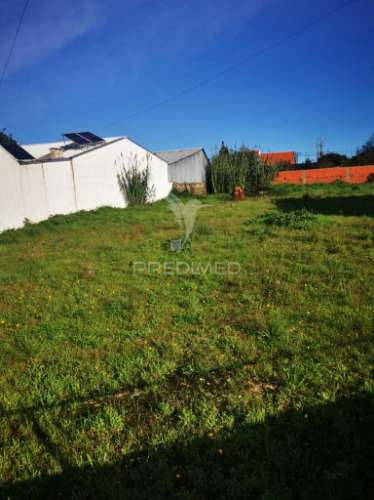 Terreno em aradas