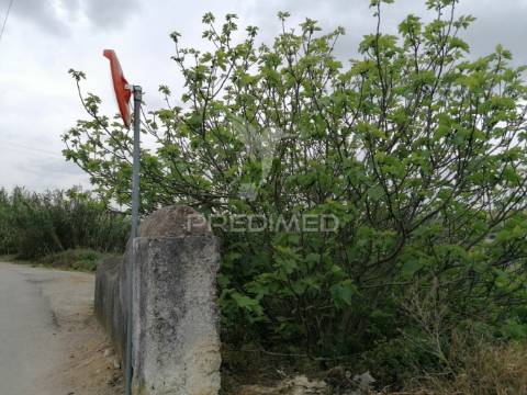 Terreno alcanhões