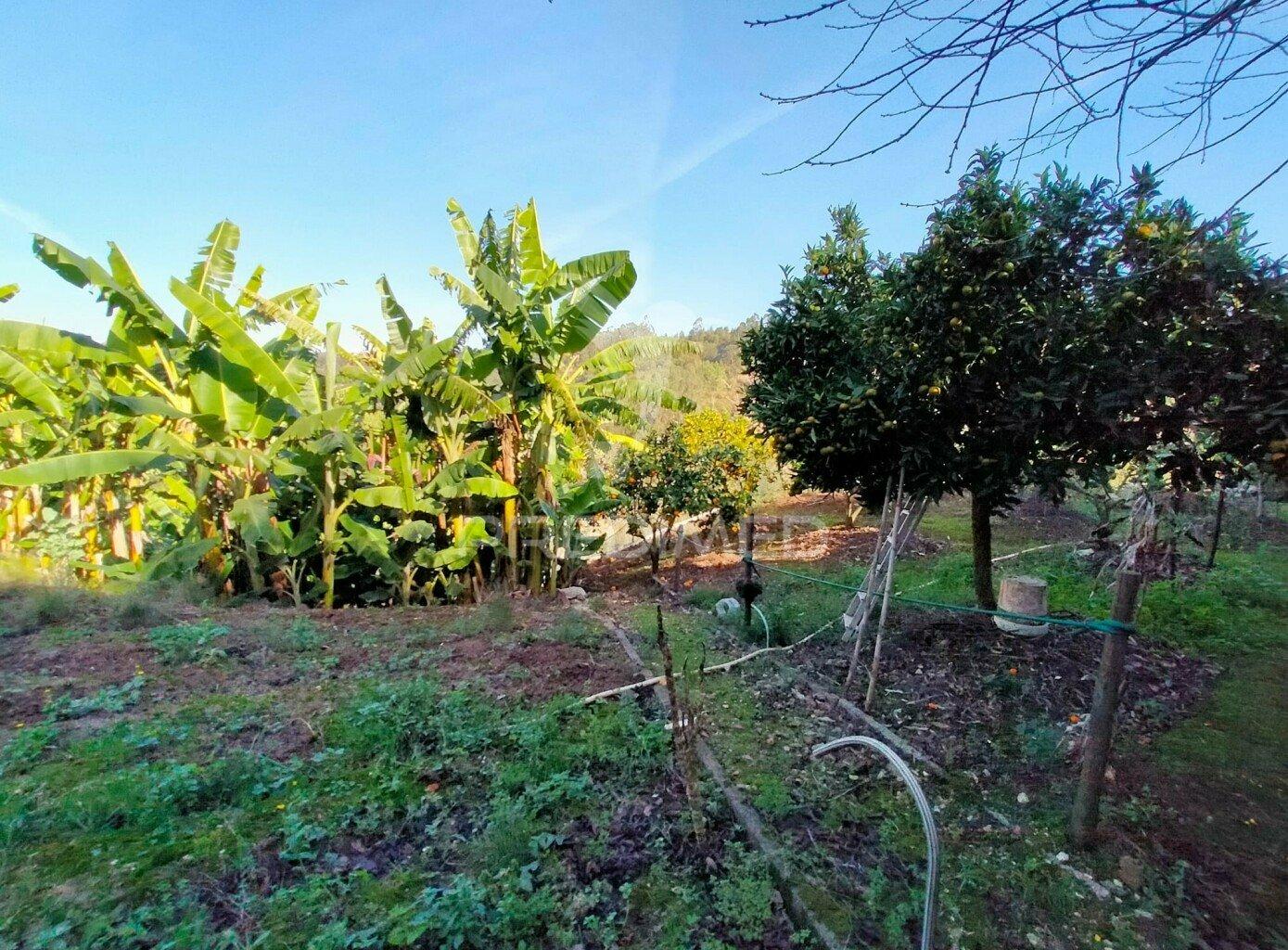 Terreno rústico com moradia térrea | mafra | lisboa