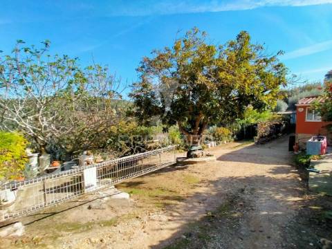 Terreno rústico com moradia térrea | mafra | lisboa