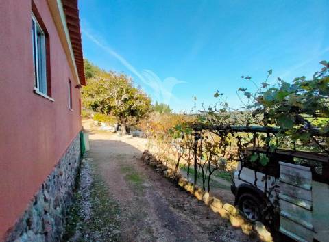 Terreno rústico com moradia térrea | mafra | lisboa