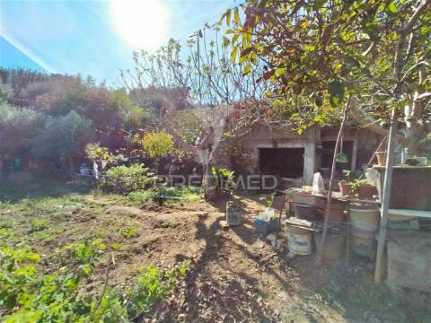 Terreno rústico com moradia térrea | mafra | lisboa