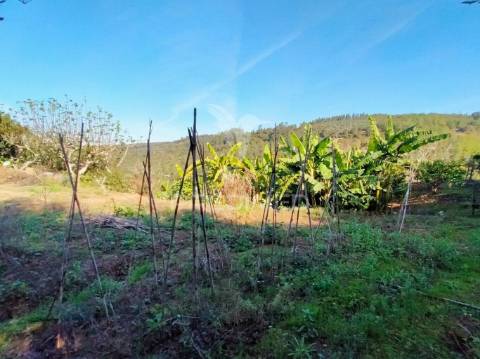 Terreno rústico com moradia térrea | mafra | lisboa
