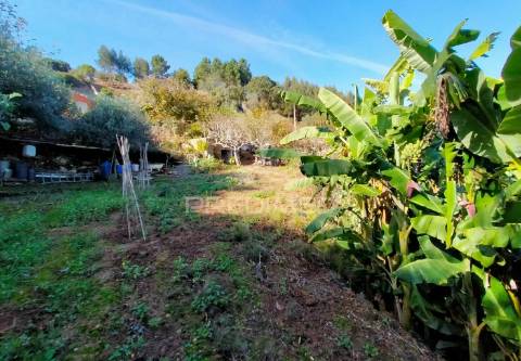 Terreno rústico com moradia térrea | mafra | lisboa