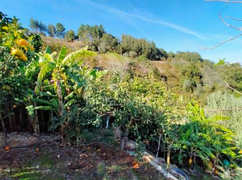 Terreno rústico com moradia térrea | mafra | lisboa