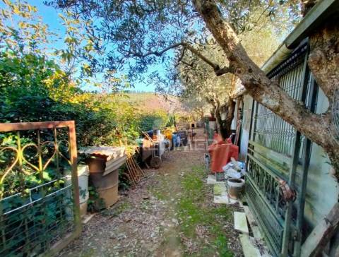 Terreno rústico com moradia térrea | mafra | lisboa