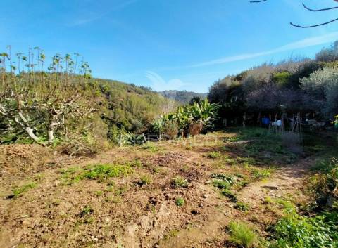 Terreno rústico com moradia térrea | mafra | lisboa