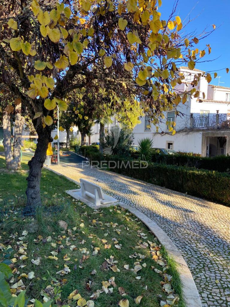 Apartamento t2 com 176mt2 e logradouro