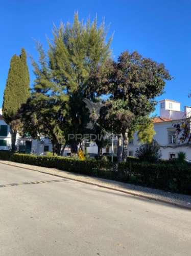 Apartamento t2 com 176mt2 e logradouro