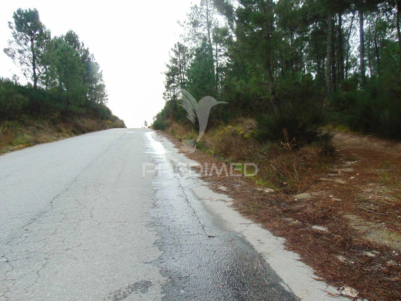 Terreno 1ha a 6 kms vila real perto do nó ip4/a24