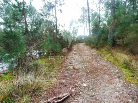 Terreno 1ha a 6 kms vila real perto do nó ip4/a24