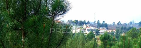 Terreno 1ha a 6 kms vila real perto do nó ip4/a24