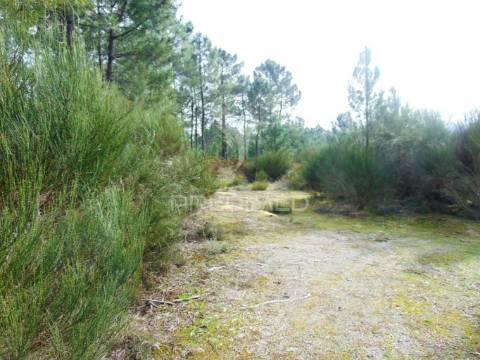 Terreno 1ha a 6 kms vila real perto do nó ip4/a24