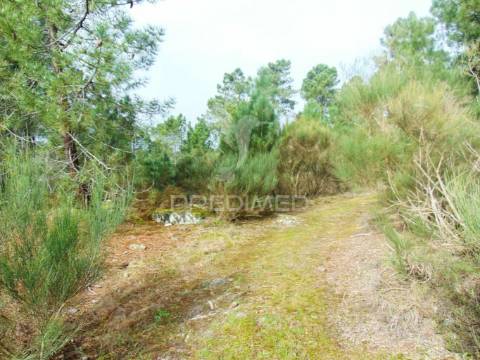 Terreno 1ha a 6 kms vila real perto do nó ip4/a24