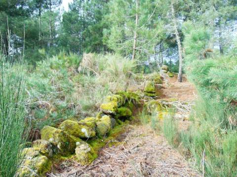 Terreno 1ha a 6 kms vila real perto do nó ip4/a24