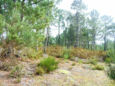 Terreno 1ha a 6 kms vila real perto do nó ip4/a24