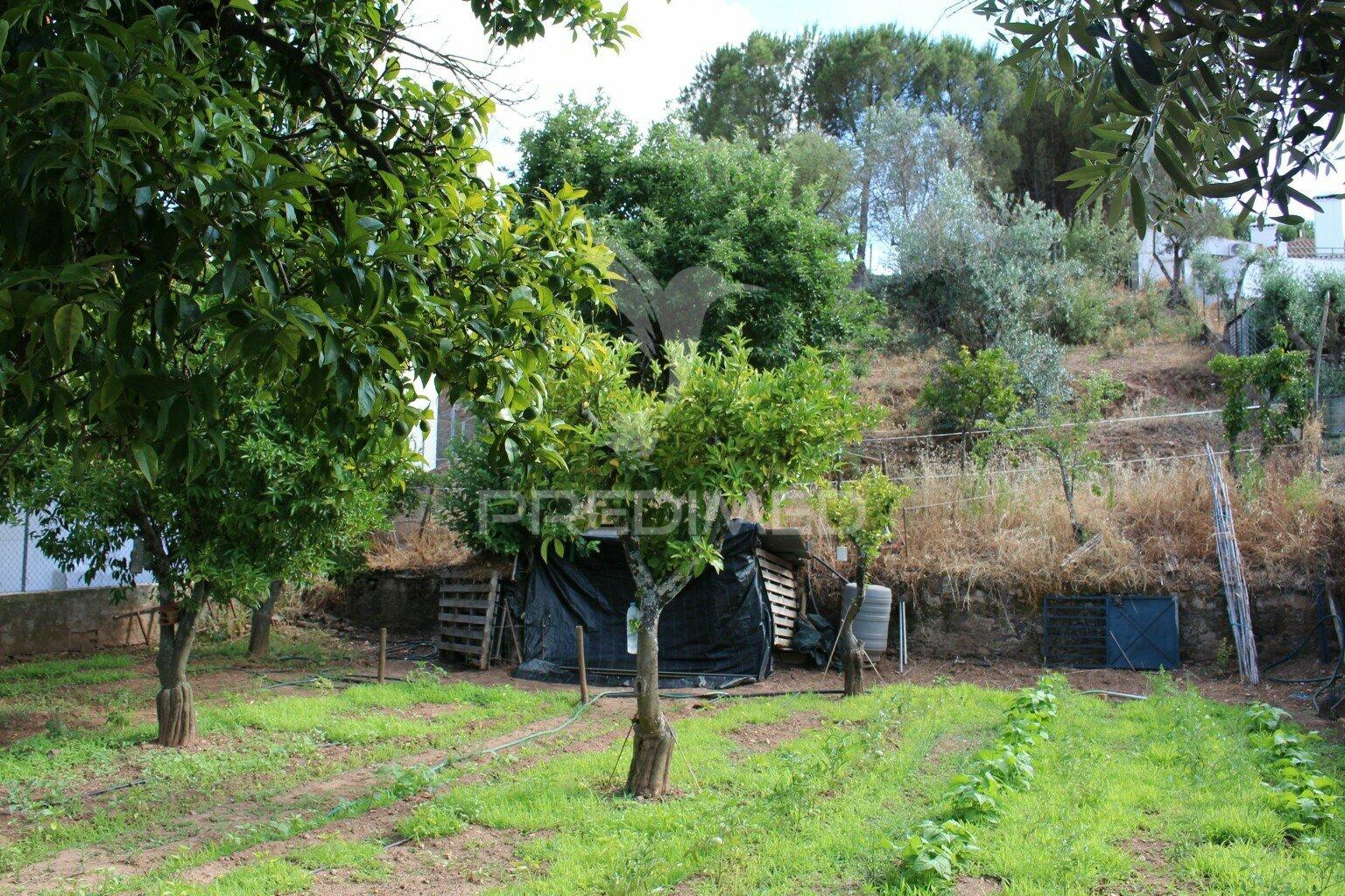 Terreno urbano com 517.5, m2