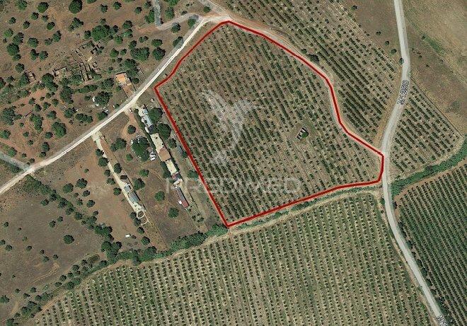 Terreno misto e ruína em vila nova de cacela, constroi 300m2