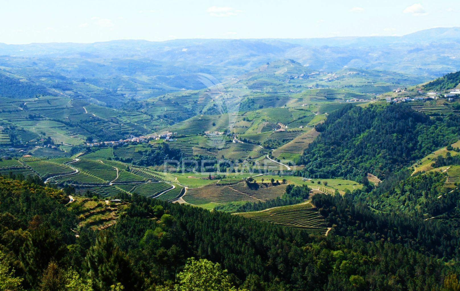Terreno agrícola a 9 kms de vila real