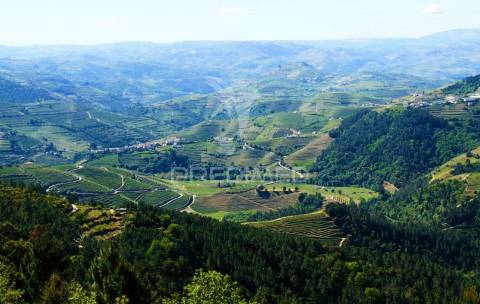 Terreno agrícola a 9 kms de vila real