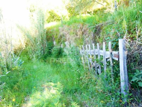 Terreno agrícola a 9 kms de vila real