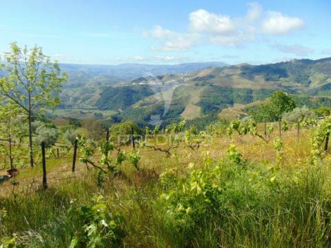 Terreno agrícola a 9 kms de vila real