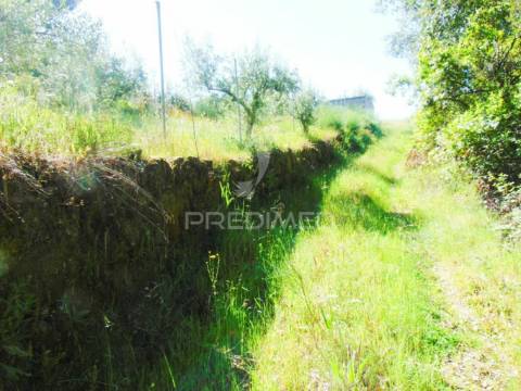 Terreno agrícola a 9 kms de vila real