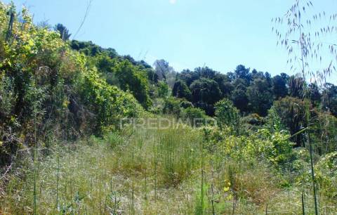 Terreno agrícola a 9 kms de vila real