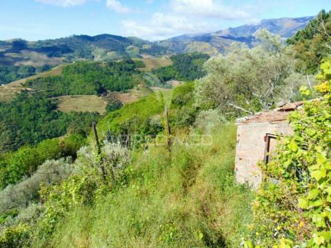 Terreno agrícola a 9 kms de vila real