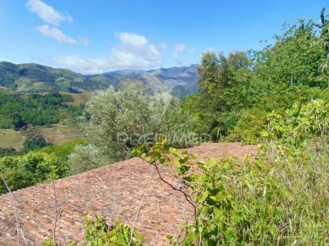 Terreno agrícola a 9 kms de vila real