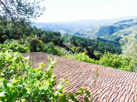 Terreno agrícola a 9 kms de vila real