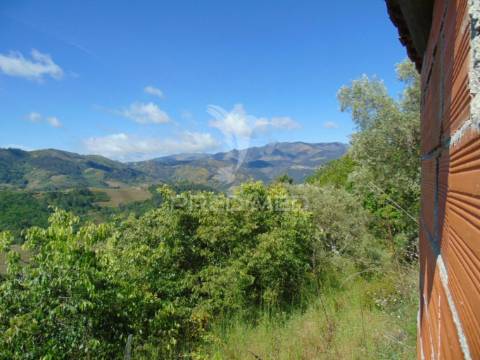 Terreno agrícola a 9 kms de vila real