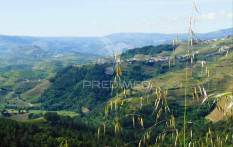 Terreno agrícola a 9 kms de vila real