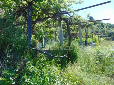 Terreno agrícola a 9 kms de vila real