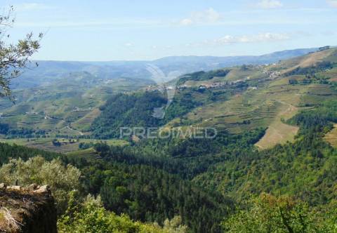 Terreno agrícola a 9 kms de vila real