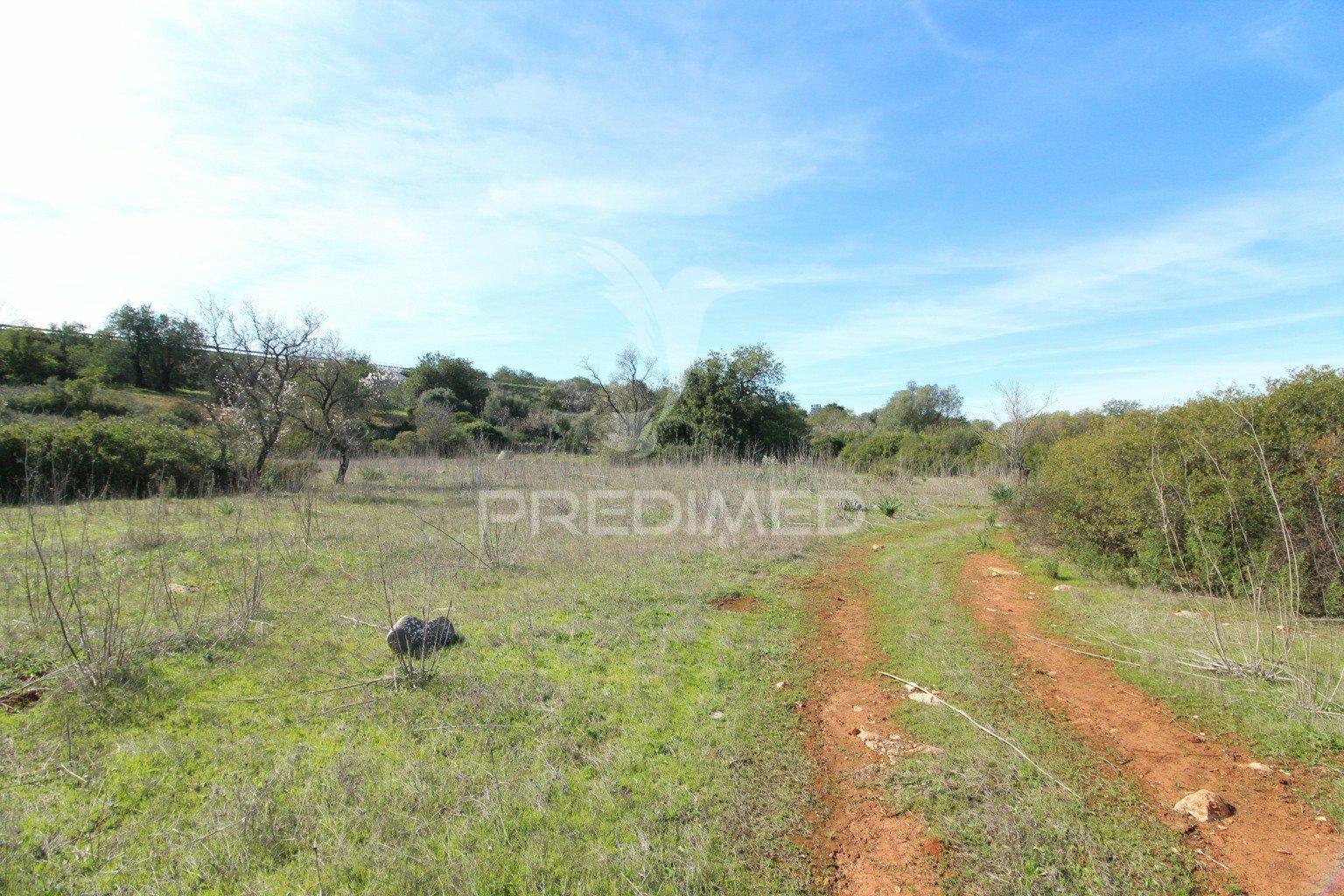 Terreno rustico com 8000 m2 em paderne