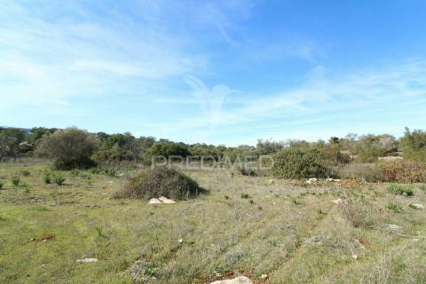 Terreno rustico com 8000 m2 em paderne