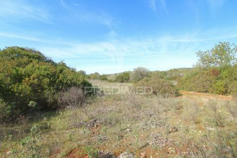 Terreno rustico com 8000 m2 em paderne