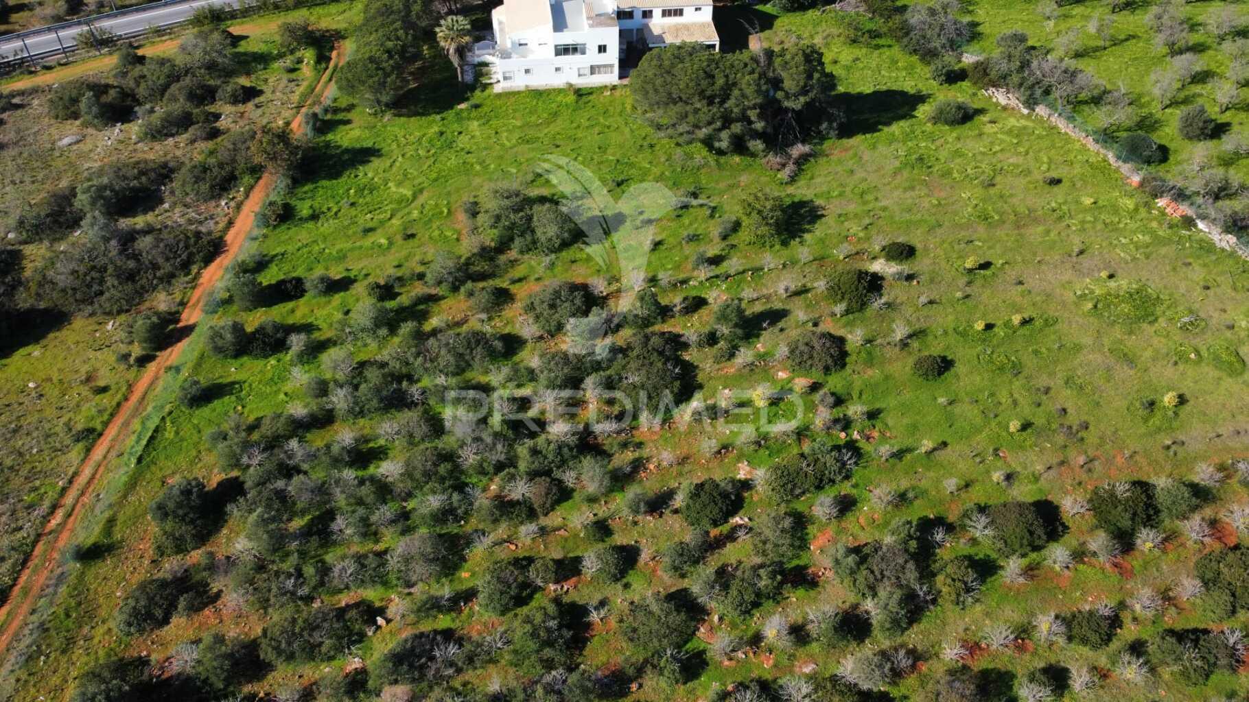 Moradia térrea t3 com anexo t1 inserida em 6.060m2 de terreno